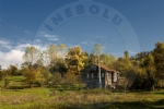 nebolu