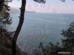 nebolu