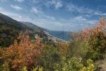 nebolu