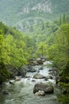 nebolu