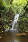 nebolu