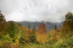 nebolu
