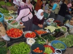 nebolu Halk Pazar