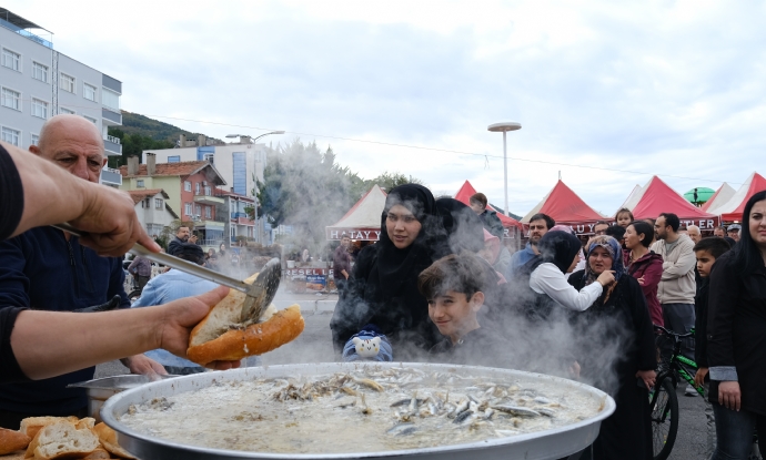 nebolu Hamsi Festivali Balad!