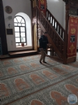 neboluda Camiler Gl Kokuyor
